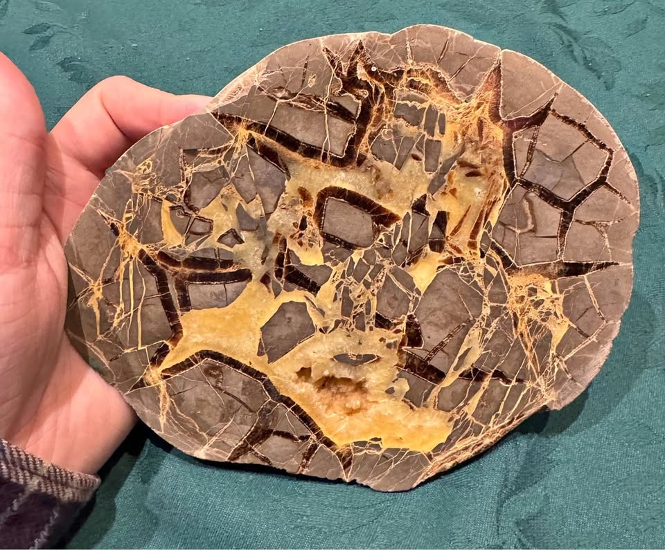 Polished Septarian Nodule Slice