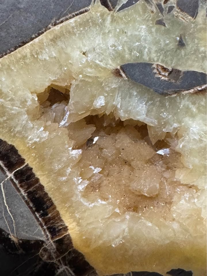 Polished Septarian Nodule Slice - photo 2