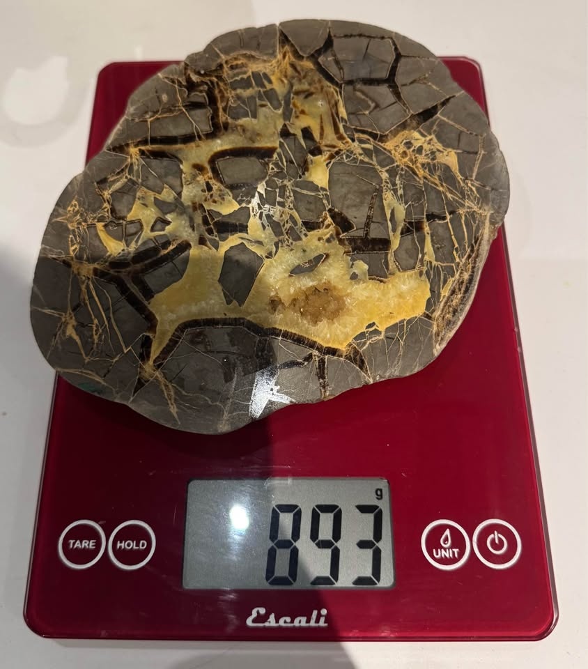 Polished Septarian Nodule Slice - photo 4