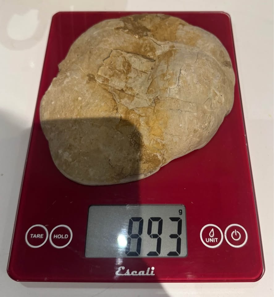 Polished Septarian Nodule Slice - photo 5