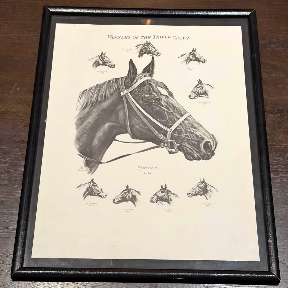 Secretariat Drawing by Stan Fenelle circa 1973