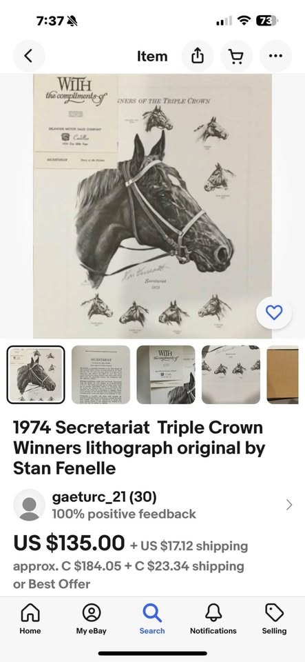 Secretariat Drawing by Stan Fenelle circa 1973 - photo 4
