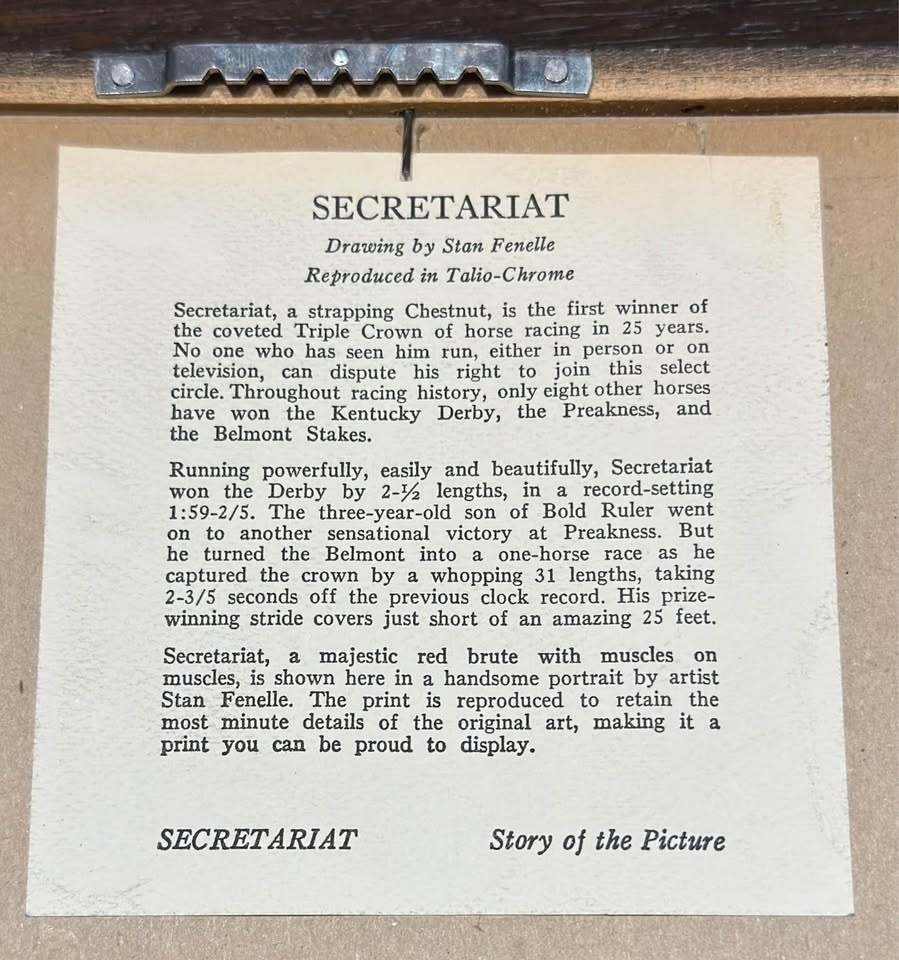 Secretariat Drawing by Stan Fenelle circa 1973 - photo 5