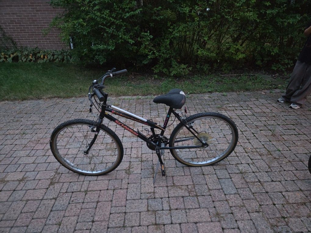 Schwinn Sidewinder