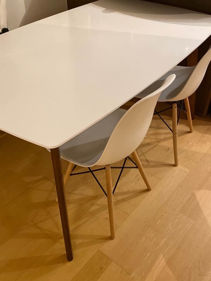 MOVING- Structube 2 dining chairs - photo 4