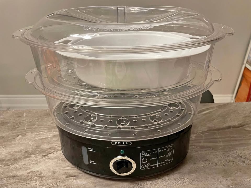Electric steamer
