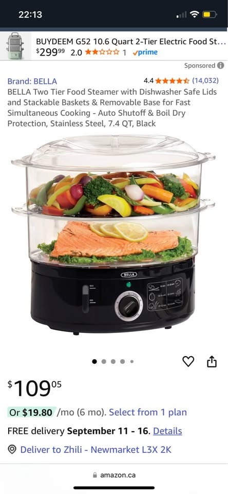 Electric steamer - photo 2