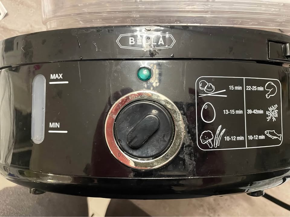 Electric steamer - photo 4