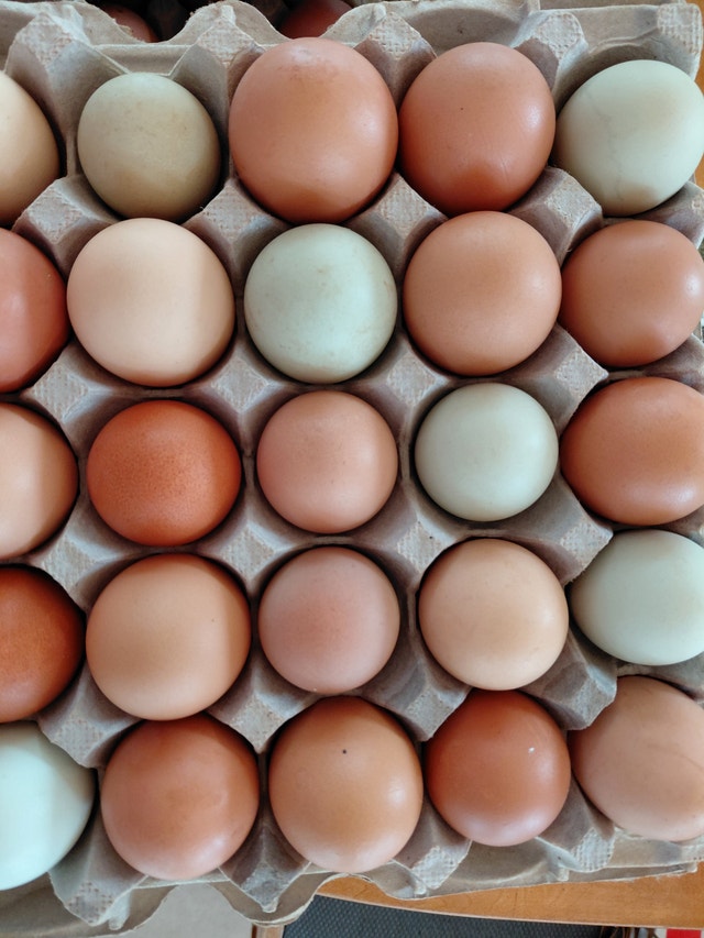 Free range farm fresh eggs - photo 2