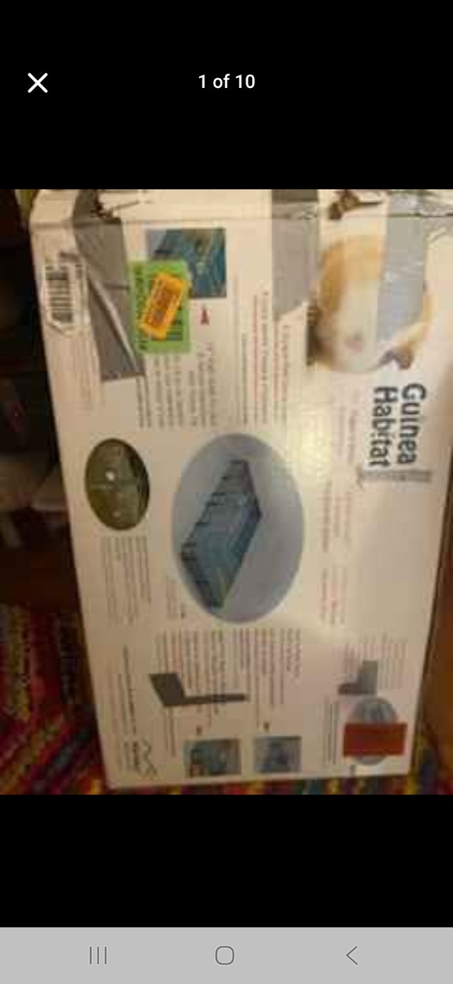 Guinea pig cage and accessories