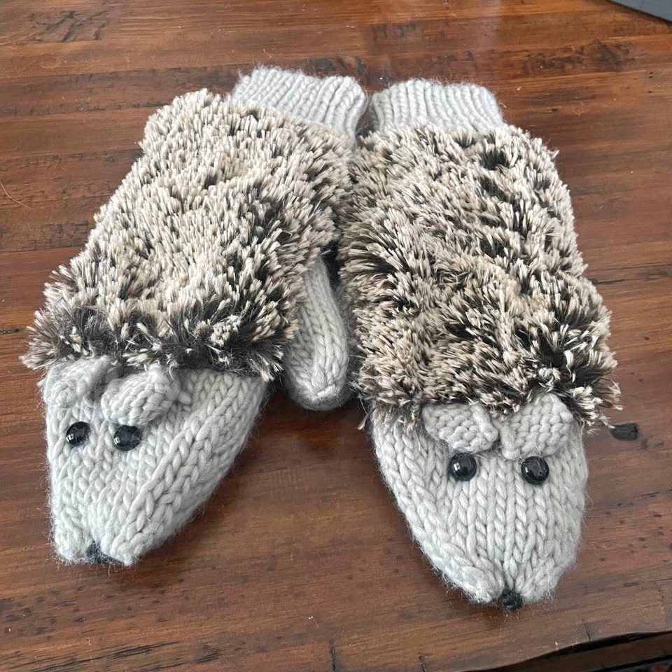 New with tags -Hedgehog mittens