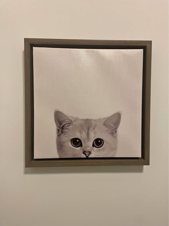 Cat canvas decor