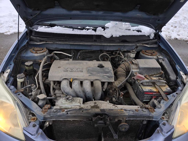 2004 Toyota Matrix 4WD - photo 5