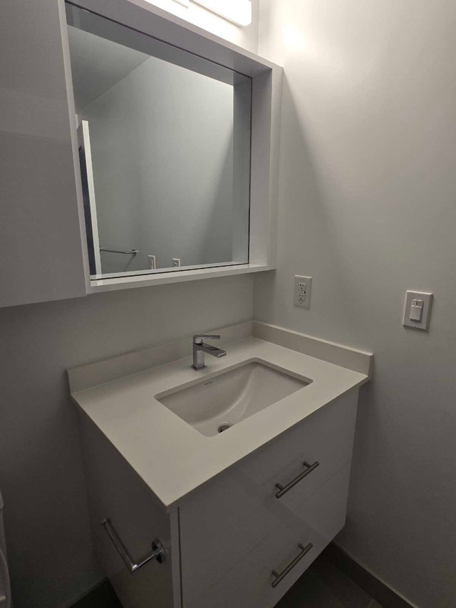 1 BR + Den Condo for Lease - photo 5