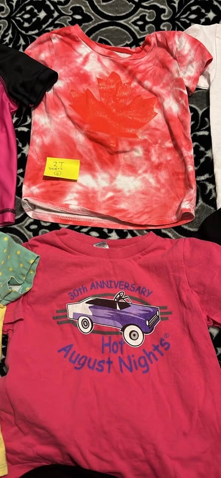 2t size kids shirts lot 2 - photo 2