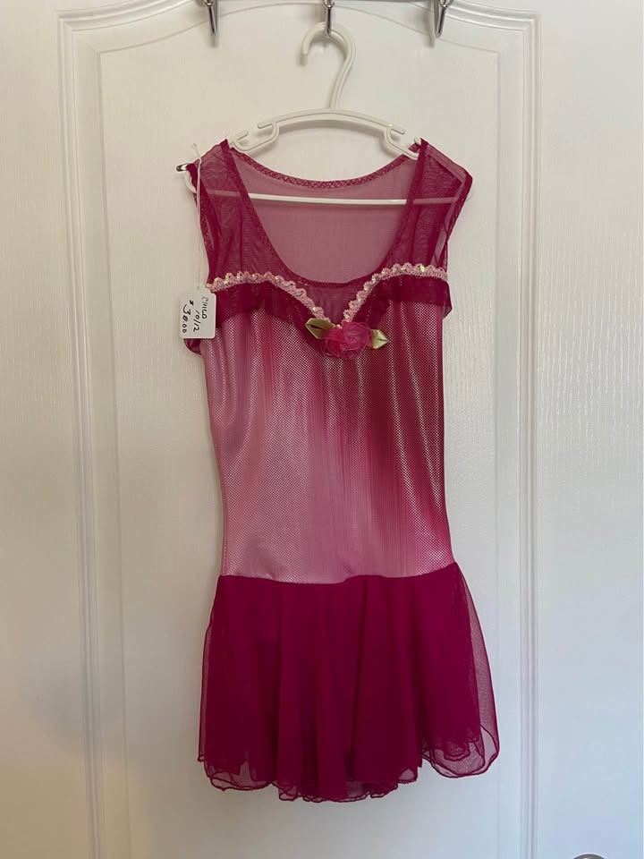 Figure Skating Dress Child 10/12
