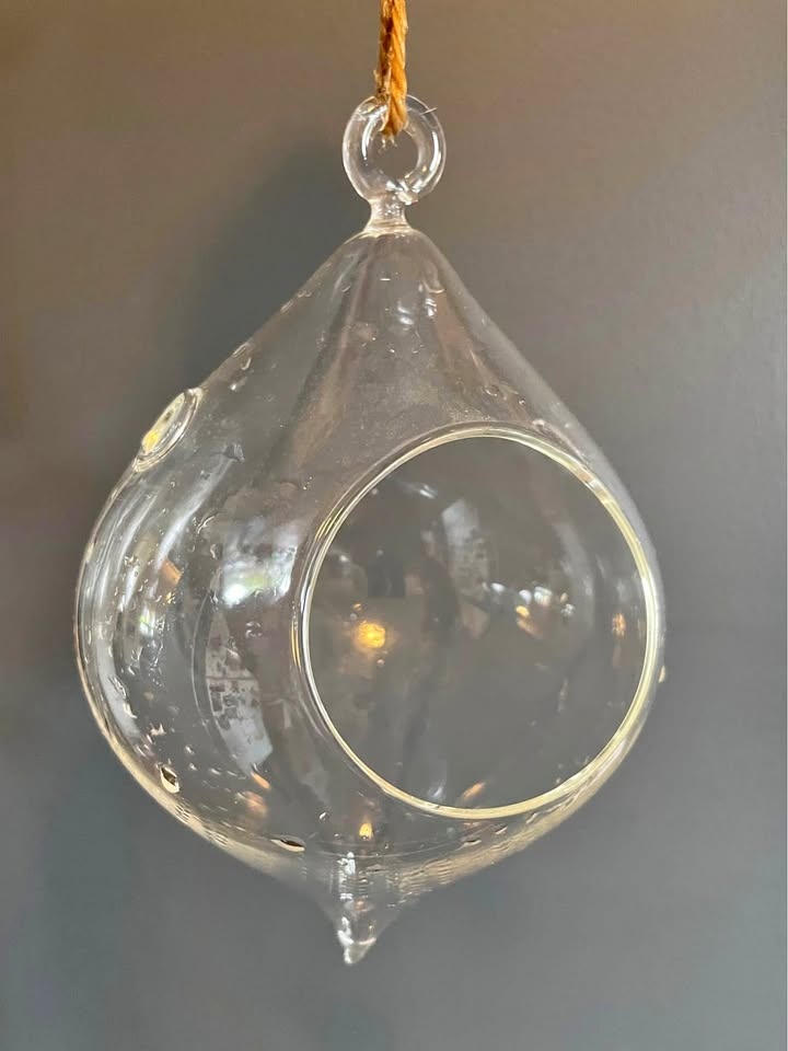 Hanging Glass Terrarium/Bird Feeder