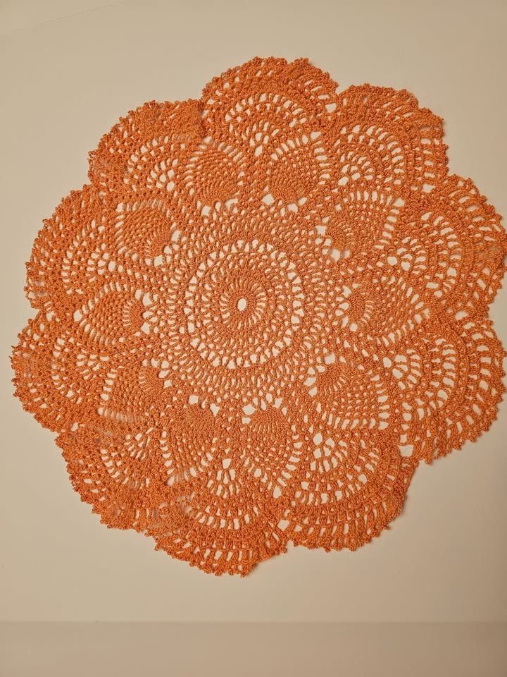 Delicate Hand crocheted Doily (DMC)