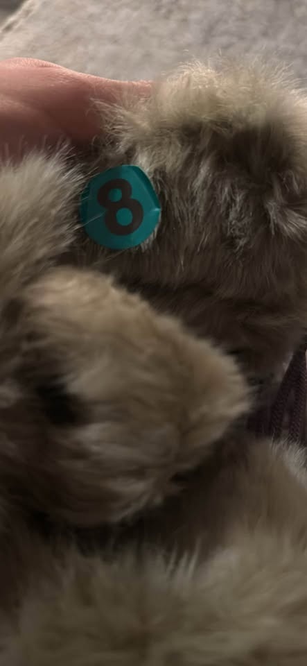 Columbia Winter Boots – Warm Fur Lined - photo 5
