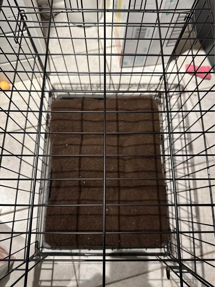 Black Wire Small Dog Crate - photo 4