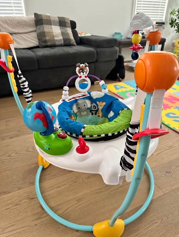 Baby Einstein Jumper