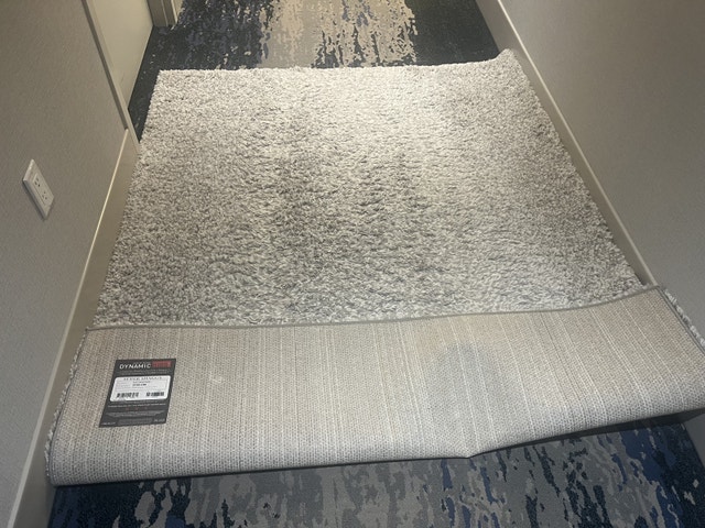 Dynamic Rugs Shag Rug - photo 2
