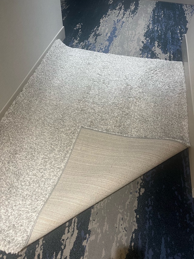 Dynamic Rugs Shag Rug - photo 3