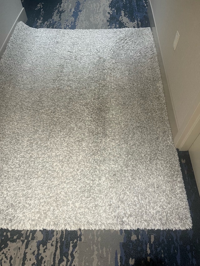 Dynamic Rugs Shag Rug - photo 5