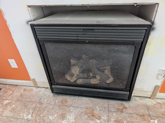 Gas Fireplace 🥕