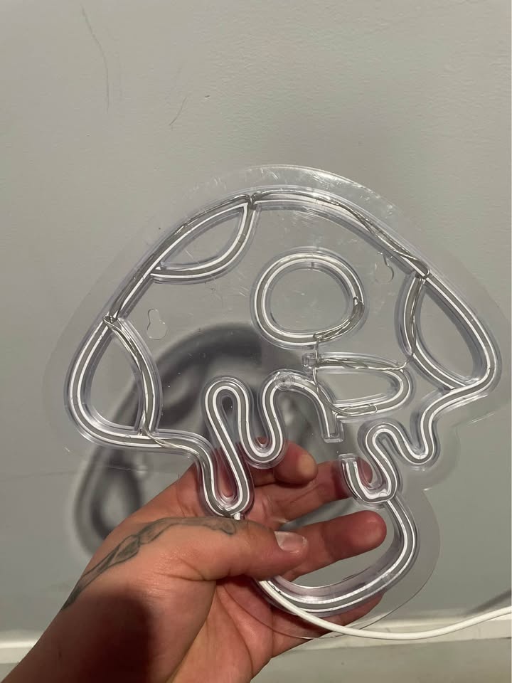 Mushroom LED light! - photo 3