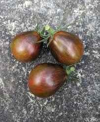 Blue Keyes tomato seeds - photo 2