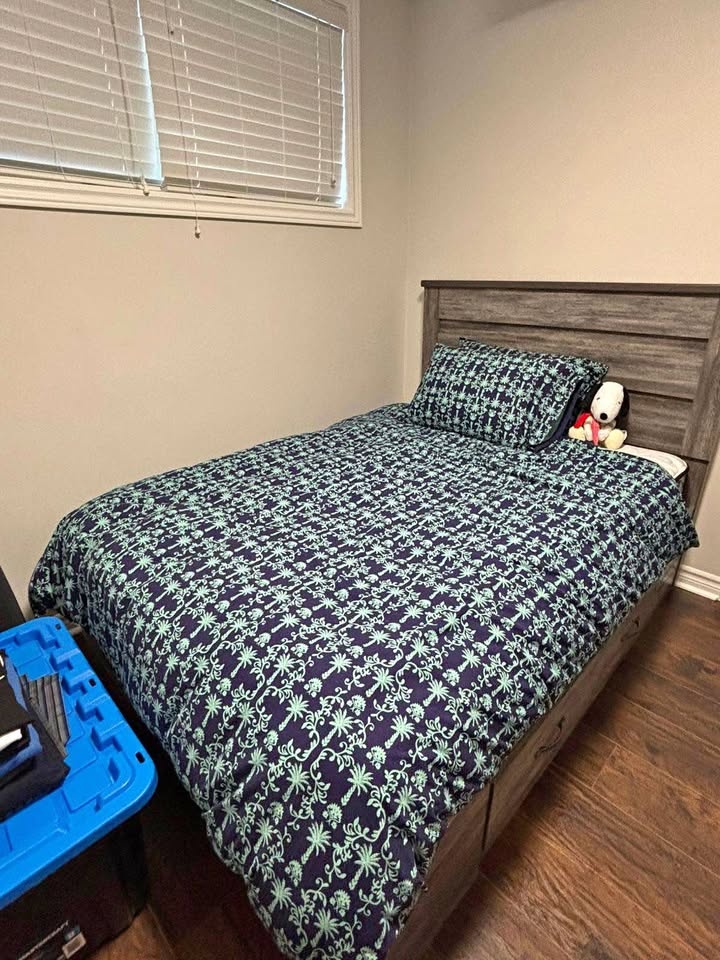 Double Bed With storage and mattress