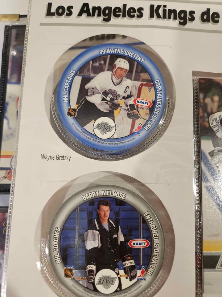 1993-94 Kraft NHL Hockey Champions Binder - photo 3