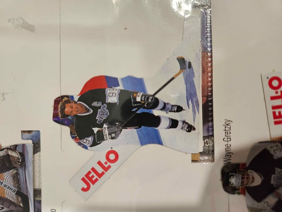 1993-94 Kraft NHL Hockey Champions Binder - photo 5