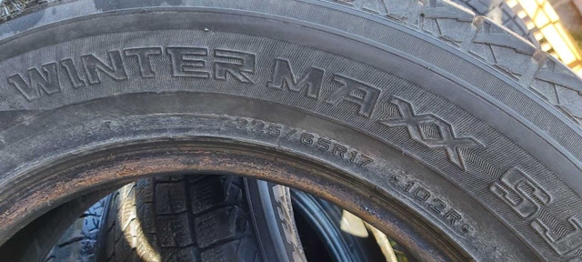 Dunlop Winter Tire Maxx - photo 5