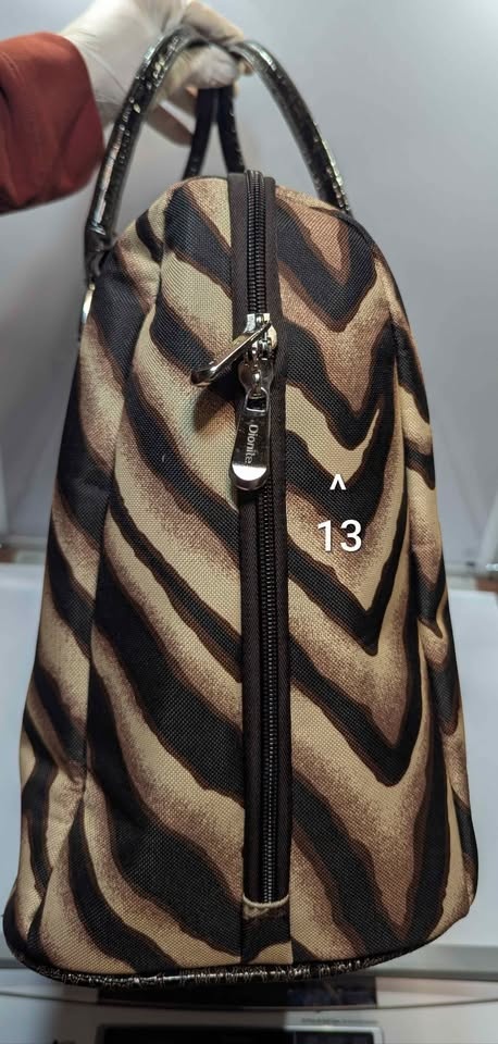 DIONITE VINTAGE Y2K Weekender 🦓 - photo 4