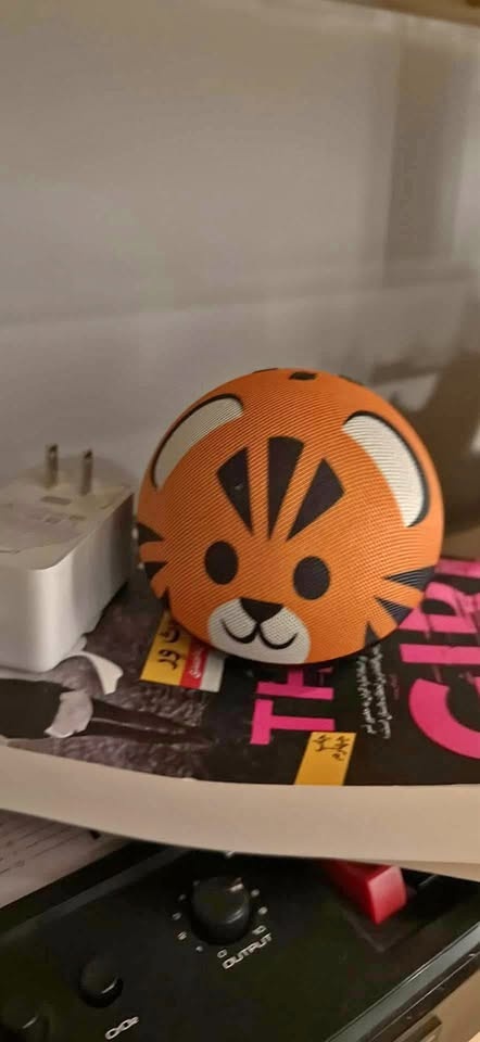 Kids Alexa Echo Dot
