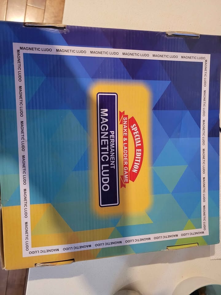 magnetic luddo