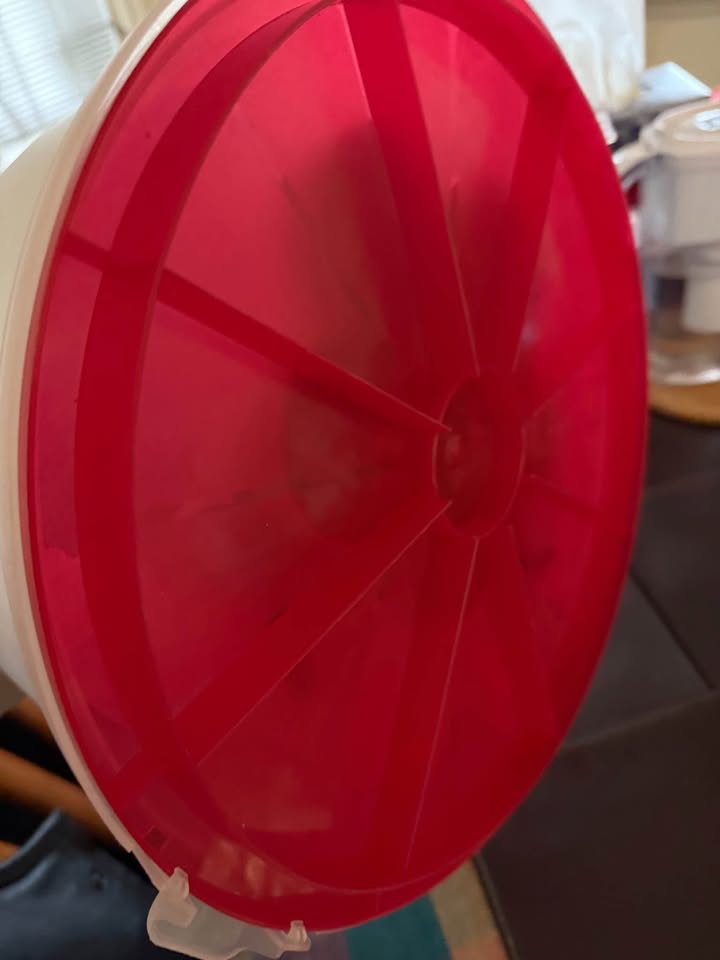 Emsa Cake  Caddy - photo 2