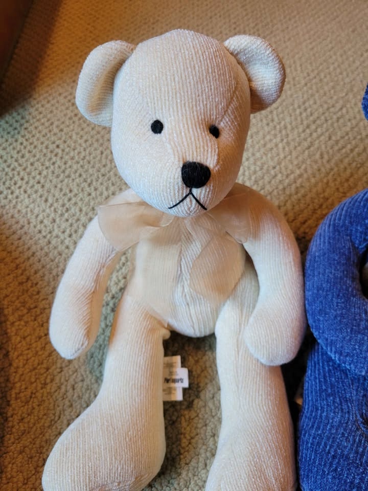 Pier 1 Chenille Teddy Bears - photo 2