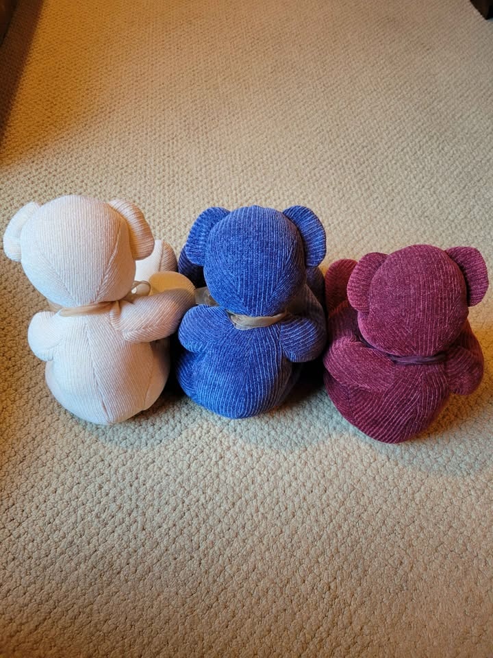 Pier 1 Chenille Teddy Bears - photo 5