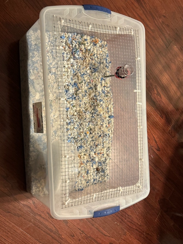 Hamster Cage, Accessories, Bedding, and Food - photo 4