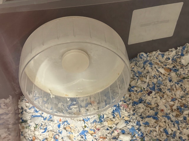 Hamster Cage, Accessories, Bedding, and Food - photo 5