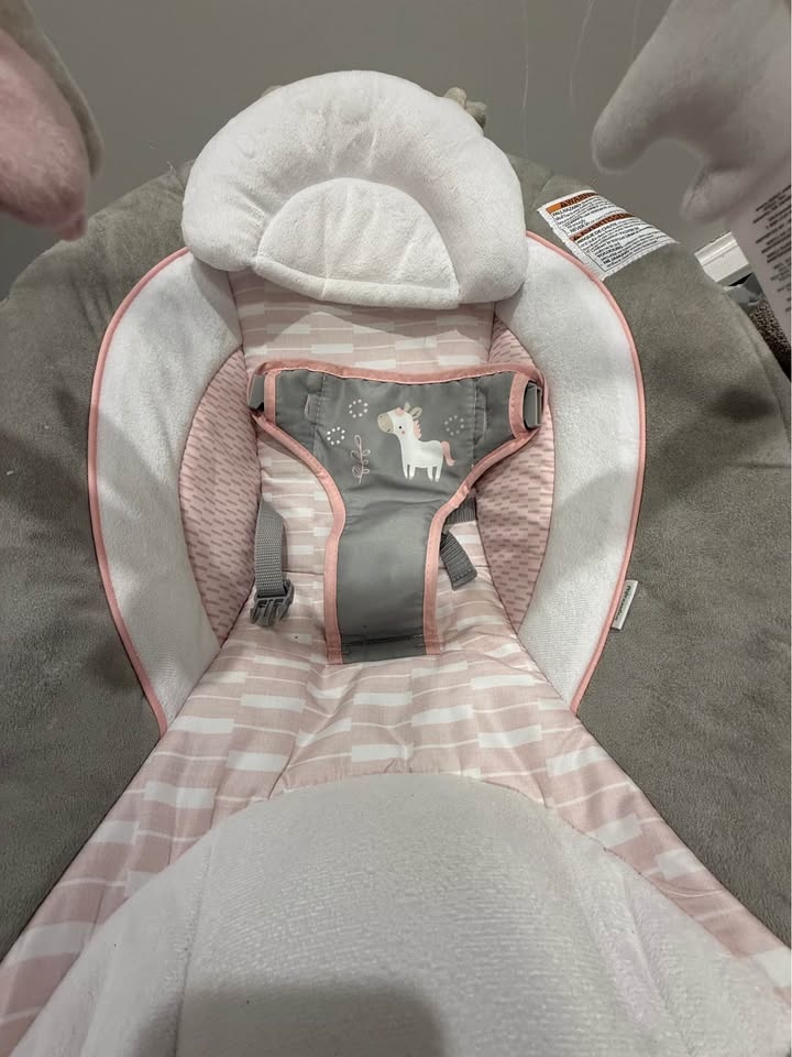 Ingenuity Baby Vibration Chair - photo 2