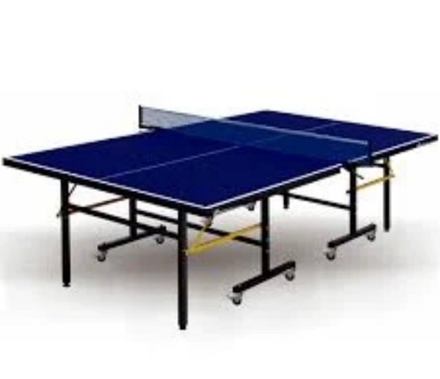 Swiftflyte Match Ping Pong Table