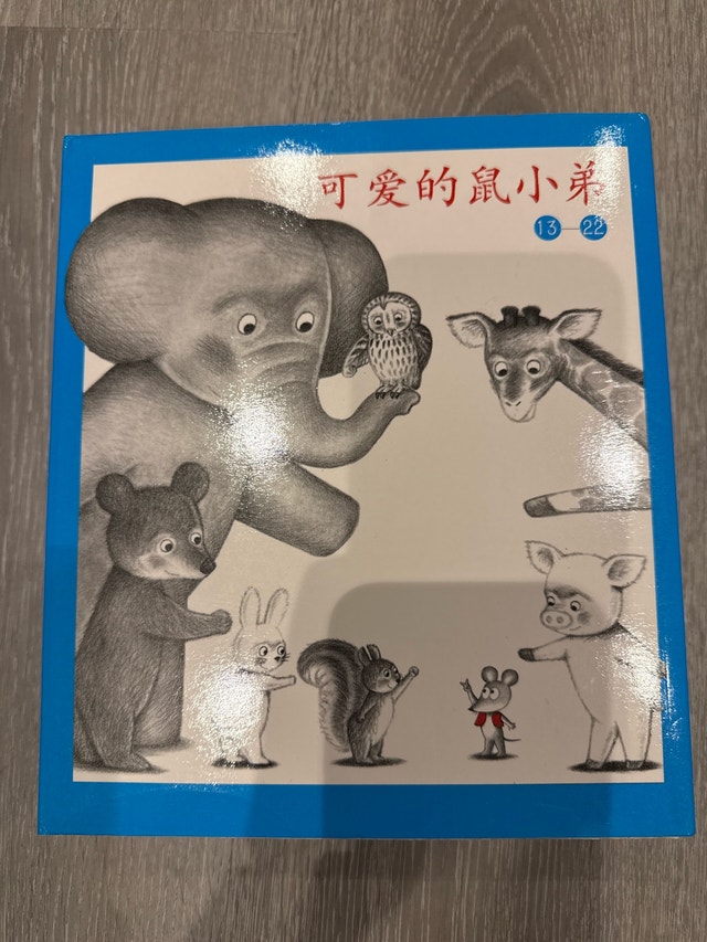Mouse Brother Books set 2