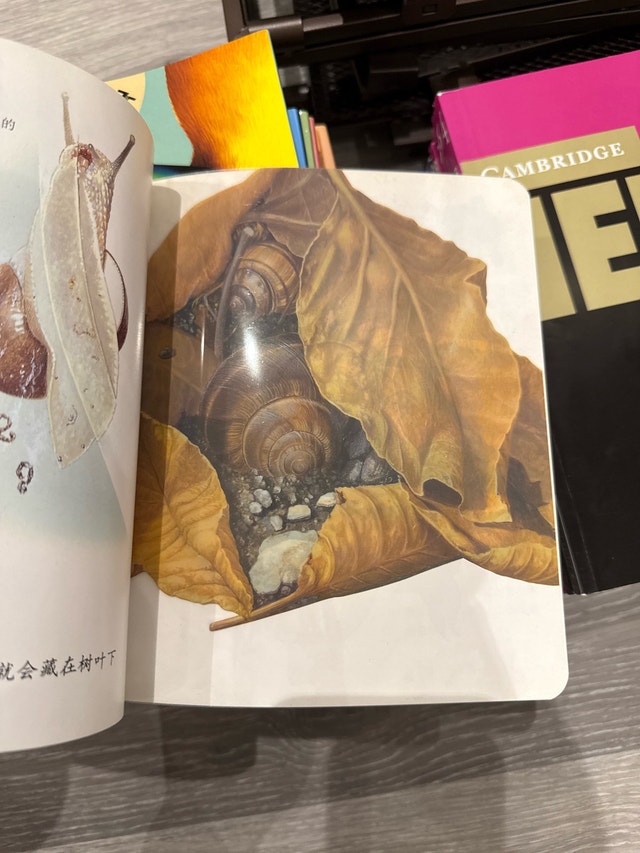 Discovery Chinese Books - photo 4