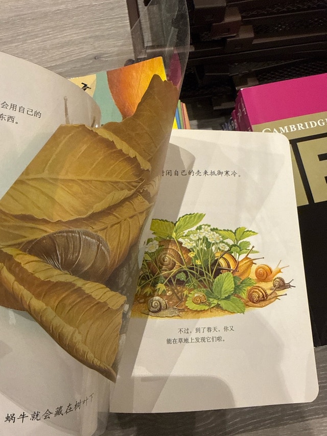 Discovery Chinese Books - photo 5