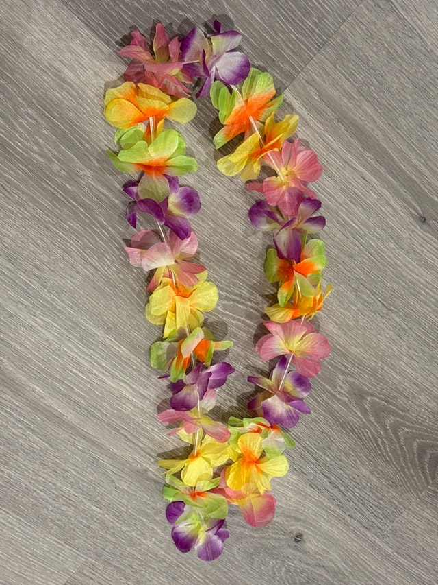 Hawaii Lei - photo 2