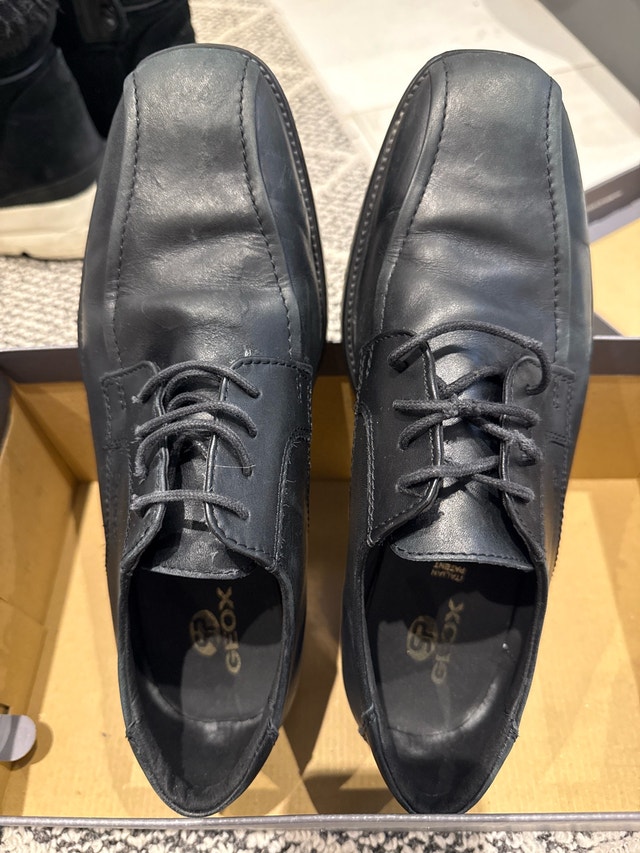 Geox Leather Shoes